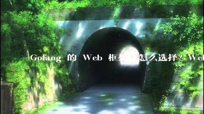 Golang 的 Web 框架该怎么选择？Web 开发又该怎样学？