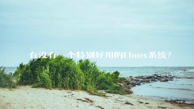 有没有一个特别好用的Linux系统？